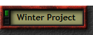 Winter Project